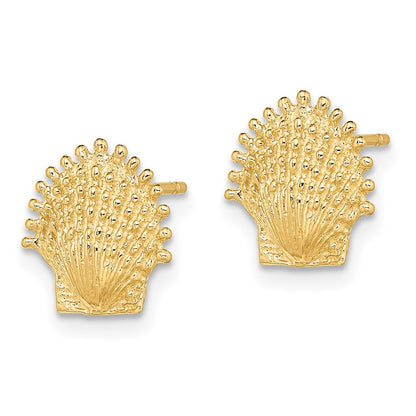 14k Yellow Gold Beaded Scallop Shell Stud Earrings Gift for Women