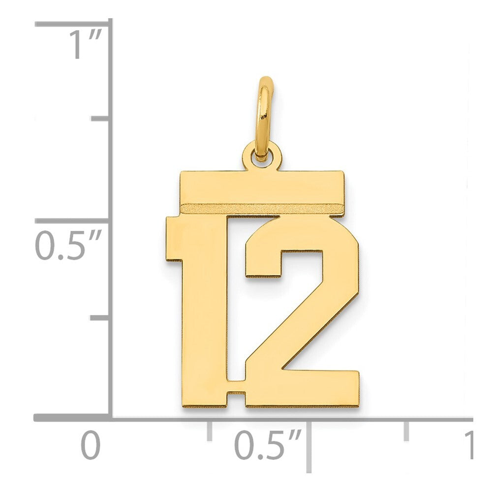 14k Yellow Gold Small Polished Number 12 Charm Pendant for Women