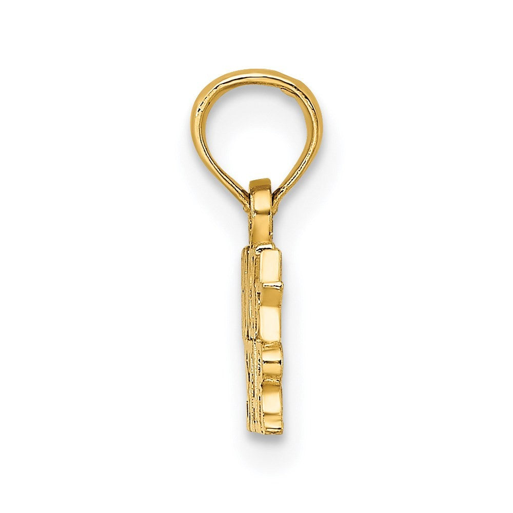 14k Yellow Gold Polished ROCK STAR Charm