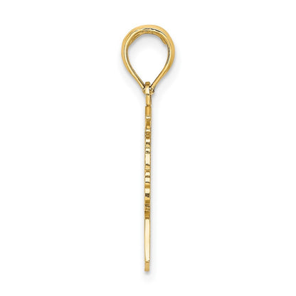 14k Yellow Gold Polished Female Graduation Profile with Diploma Charm