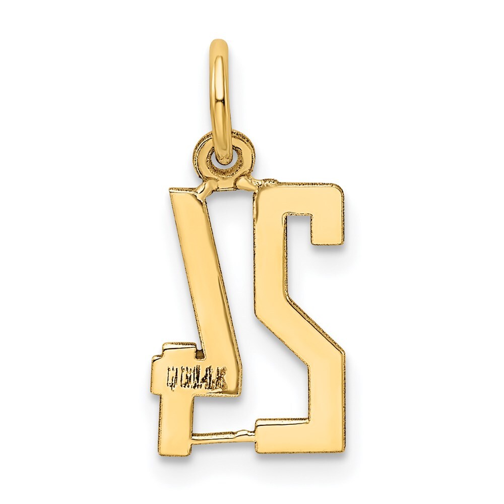 14k Yellow Gold Small Elongated Number 24 Charm Pendant for Women