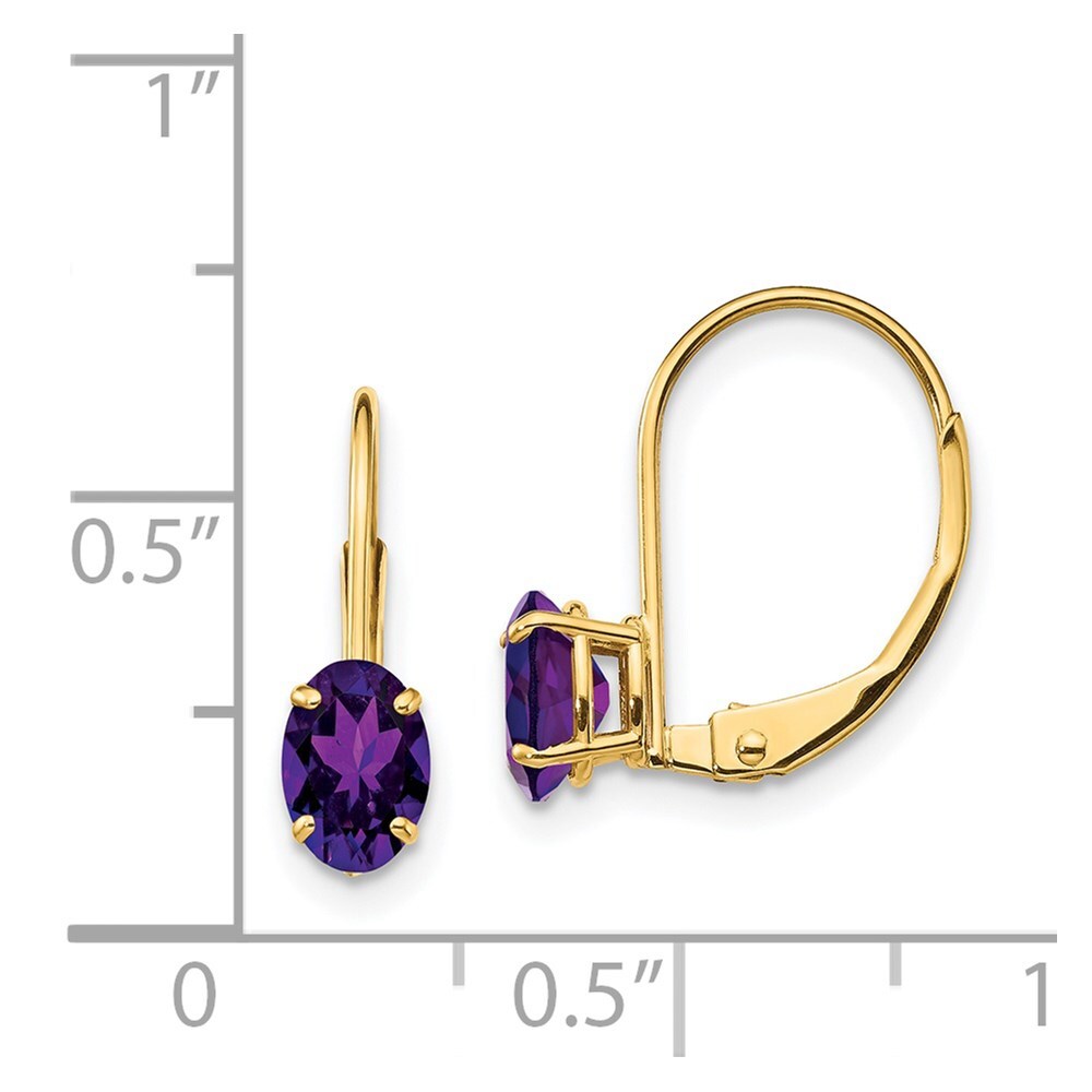 14k Yellow Gold 6x4mm Oval Amethyst Leverback Earrings Gift for Women