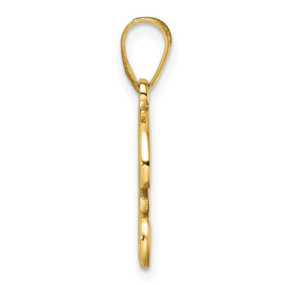 14k Yellow Gold Script Letter R Initial Pendant for Women