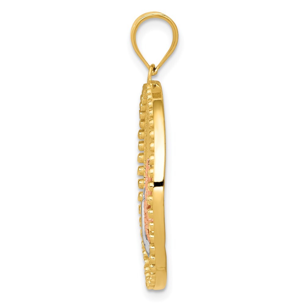 14k Two-tone Gold White Rhodium Dragonfly Pendant for Women