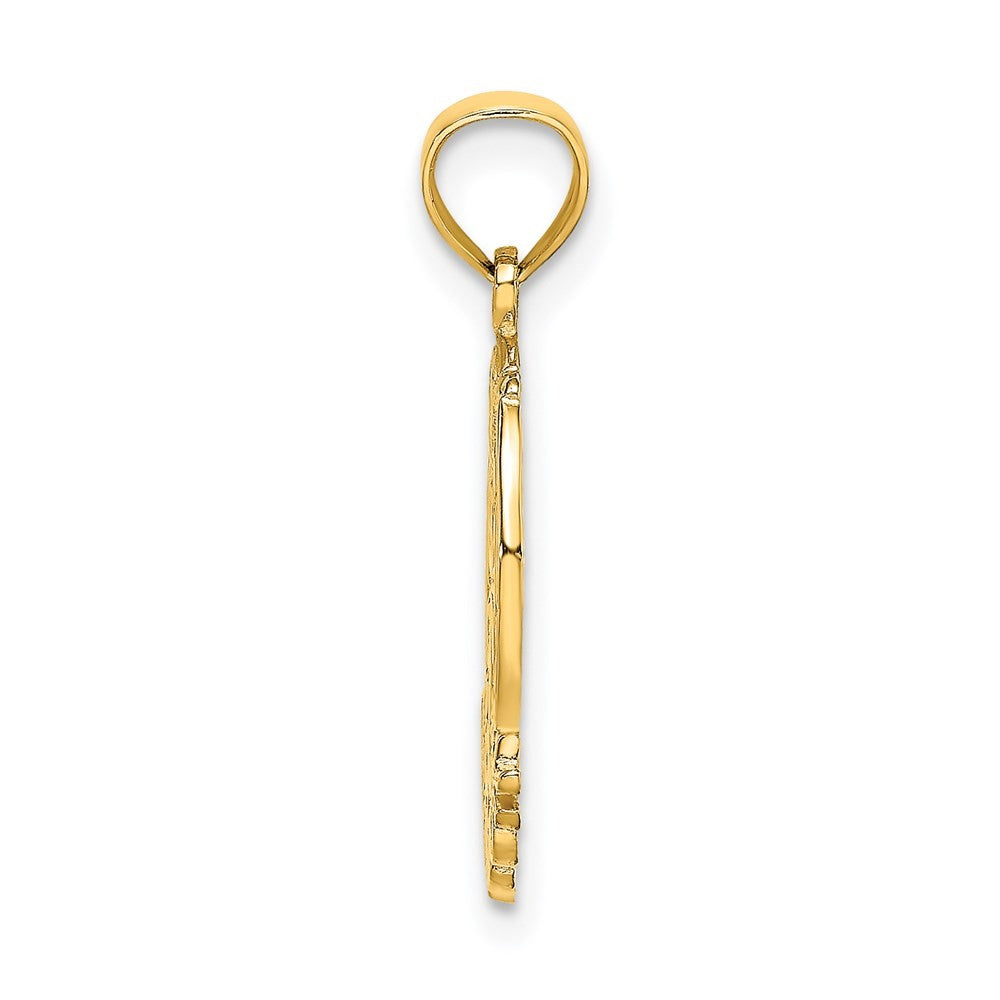 14k Yellow Gold GOOD LUCK Horseshoe and Clover Charm Pendant