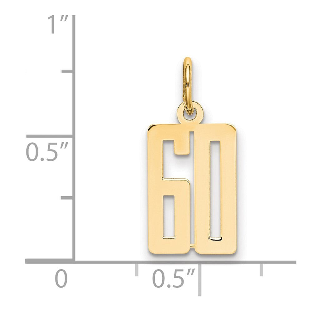 14k Yellow Gold Small Elongated Number 60 Charm Pendant for Women
