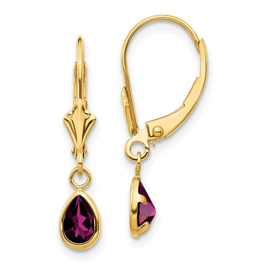 14k Yellow Gold 6x4mm Rhodolite Garnet Earrings