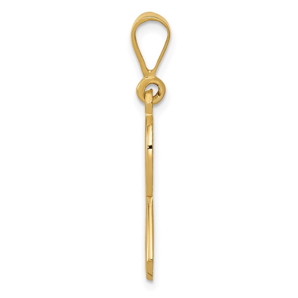 14k Yellow Gold Awareness Pendant