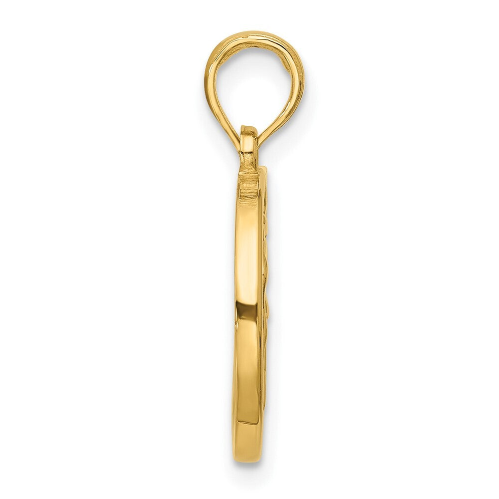 14k Yellow Gold Polished Round Aquarius Pendant for Women