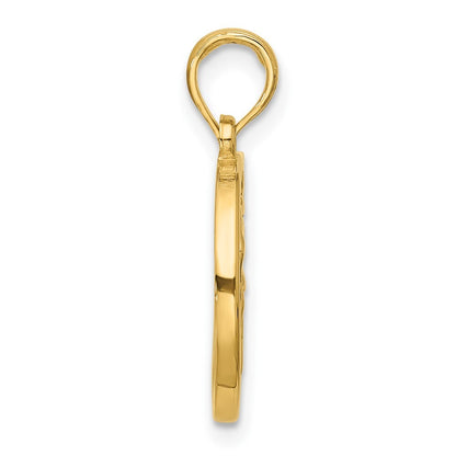 14k Yellow Gold Polished Round Aquarius Pendant for Women
