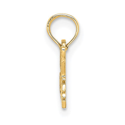 14k Yellow Gold SPECIAL NIECE Charm