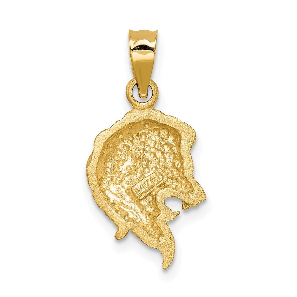14k Yellow Gold Brushed Diamond-cut Lion Head Pendant for Women