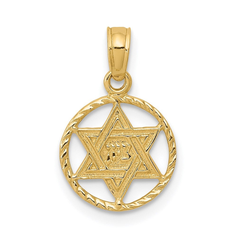 14k Yellow Gold Star of David in Circle Frame Pendant