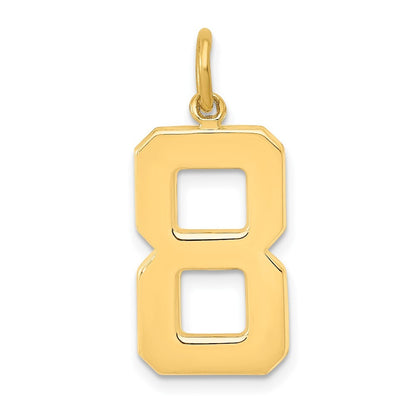 14k Yellow Gold Large Polished Number 8 Charm Pendant for Women