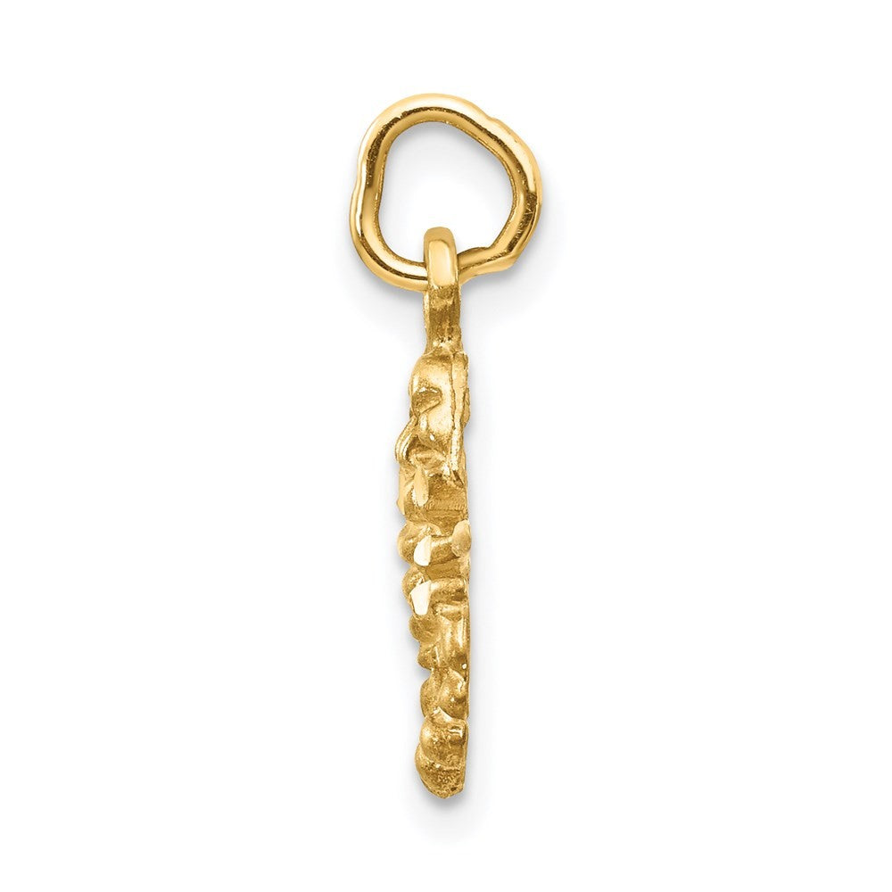 14k Yellow Gold Satin Diamond-cut Scorpio Zodiac Charm