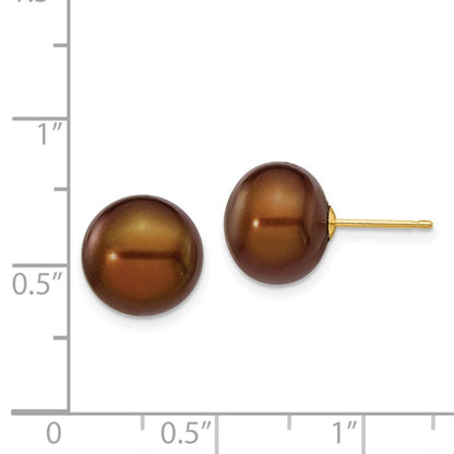 14k Yellow Gold 10-11mm Brown Button Freshwater Cultured Pearl Stud Earrings