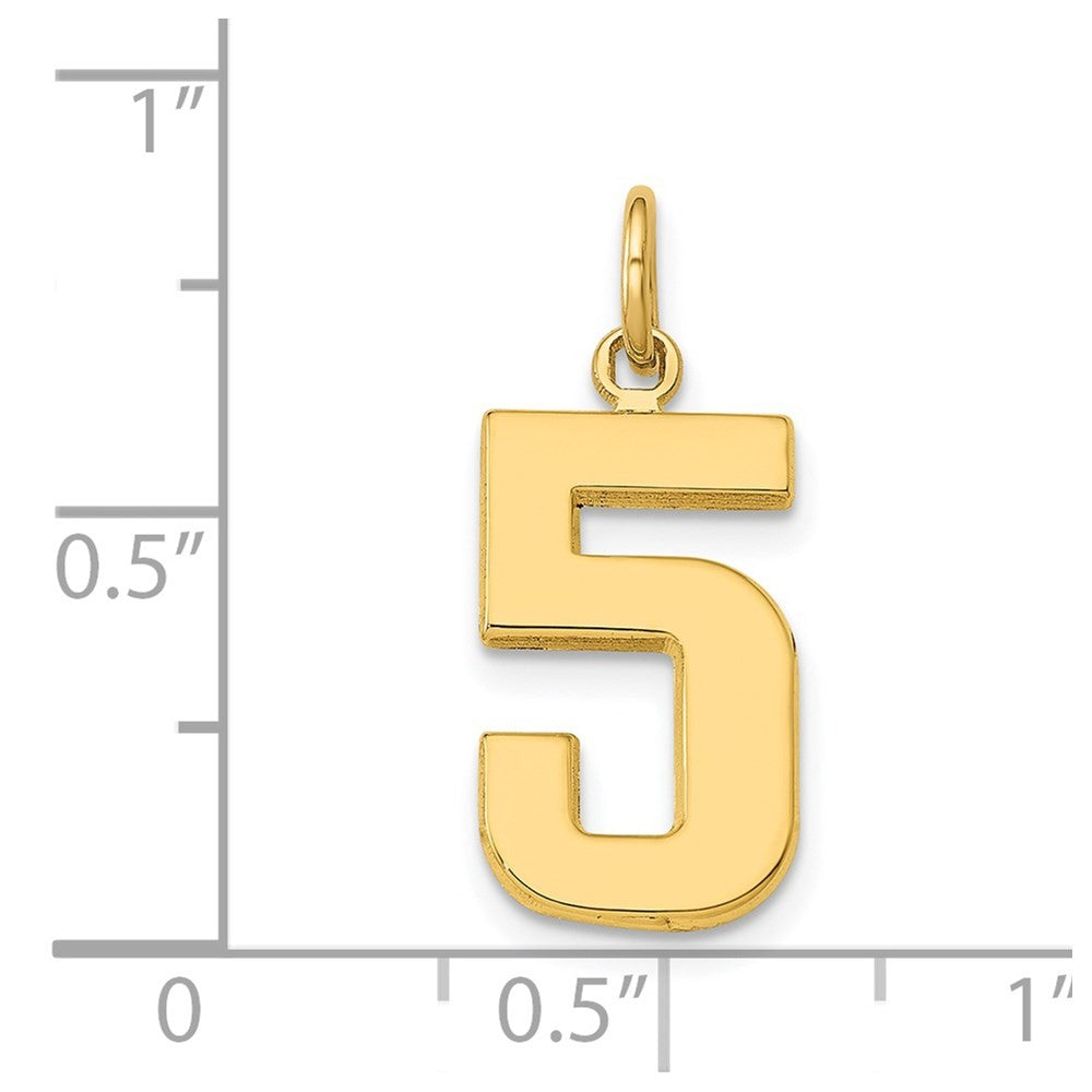 14k Yellow Gold Medium Polished Number 5 Charm Pendant