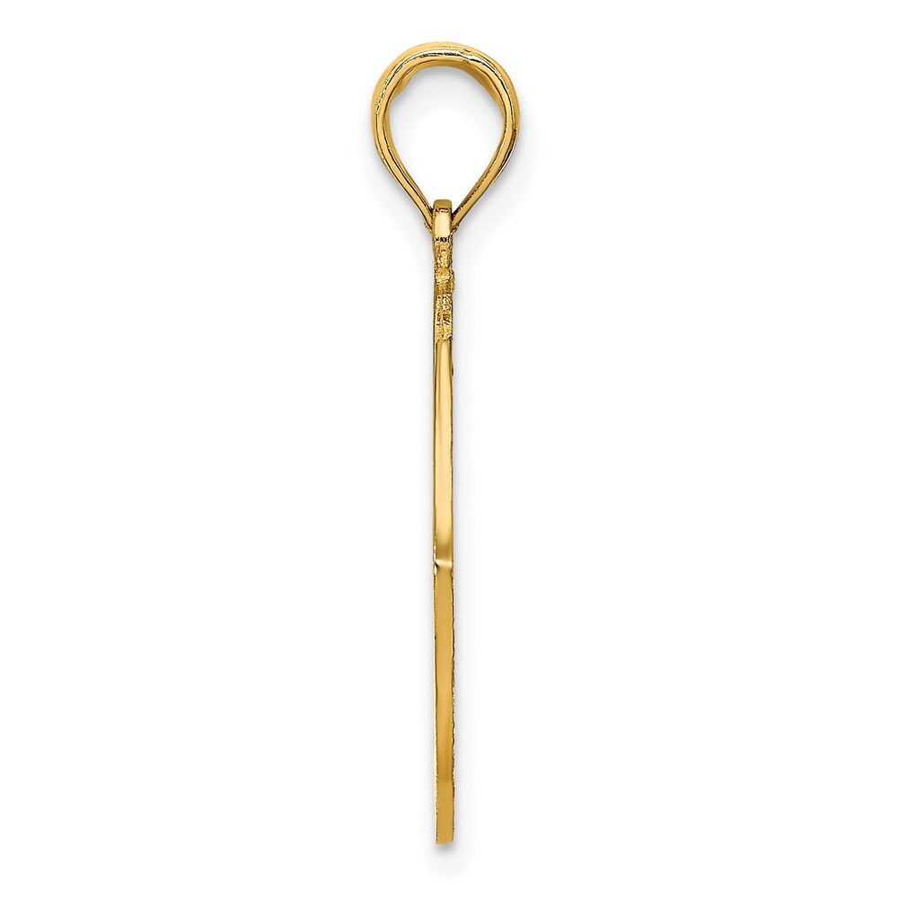 14k Yellow Gold LONG BEACH ISLAND Dolphins Charm