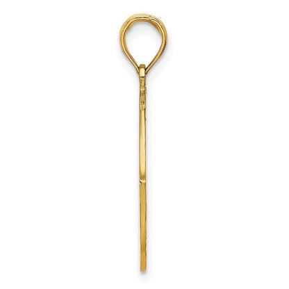 14k Yellow Gold LONG BEACH ISLAND Dolphins Charm