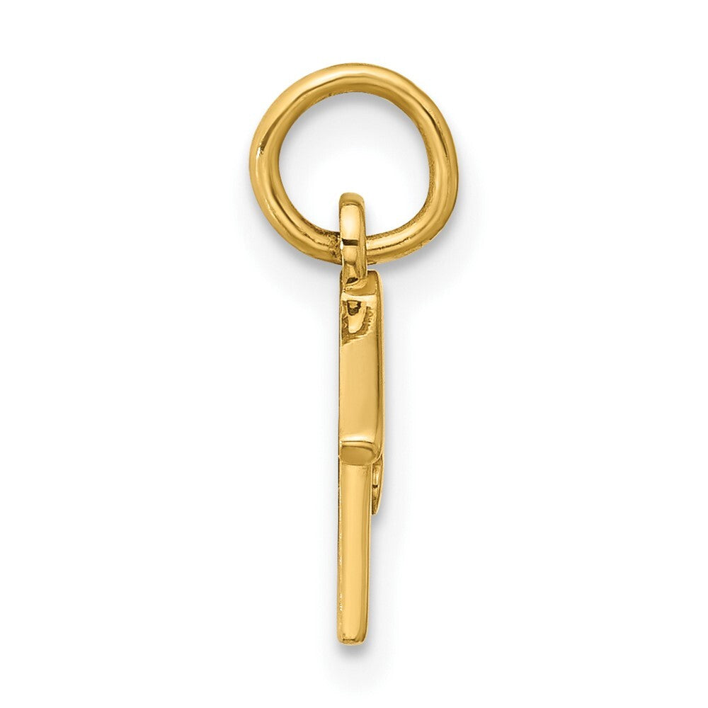 14k Yellow Gold Dog House Charm Pendant for Women