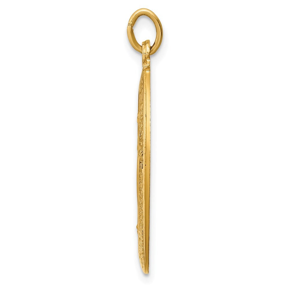 14k Yellow Gold Solid Polished Satin Medium Oval Miraculous Medal