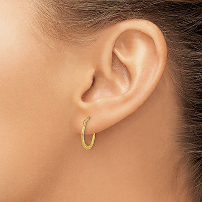14k Yellow Gold  Polished and Diamond-cut Hoop Earrings