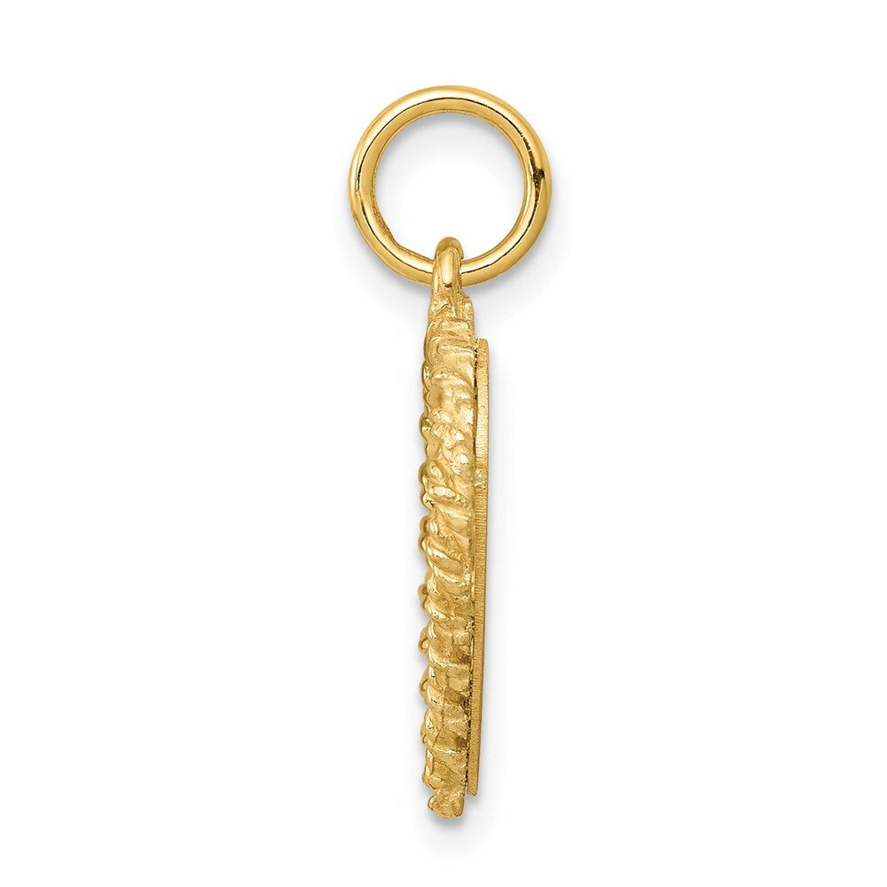 14k Yellow Gold Polished .013 Gauge Heart with Rope Disc Charm Pendant