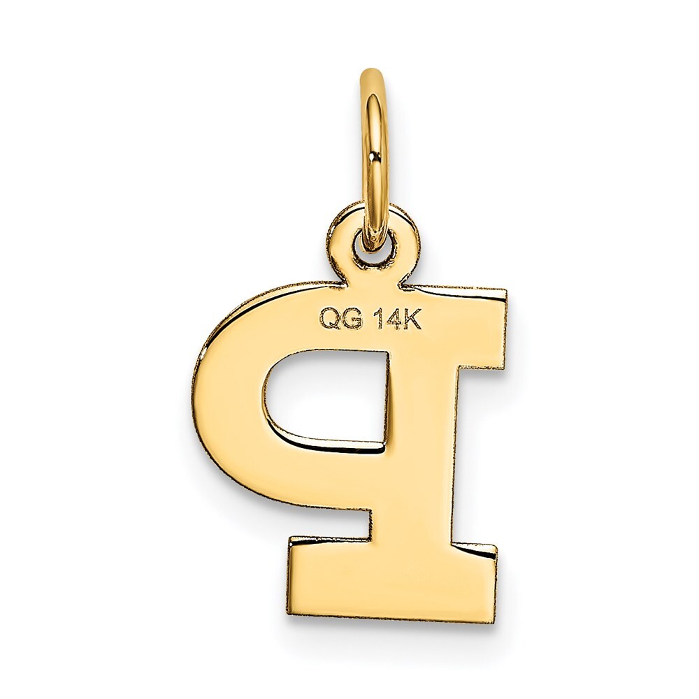 14k Yellow Gold Small Block Letter P Initial Charm Pendant for Women