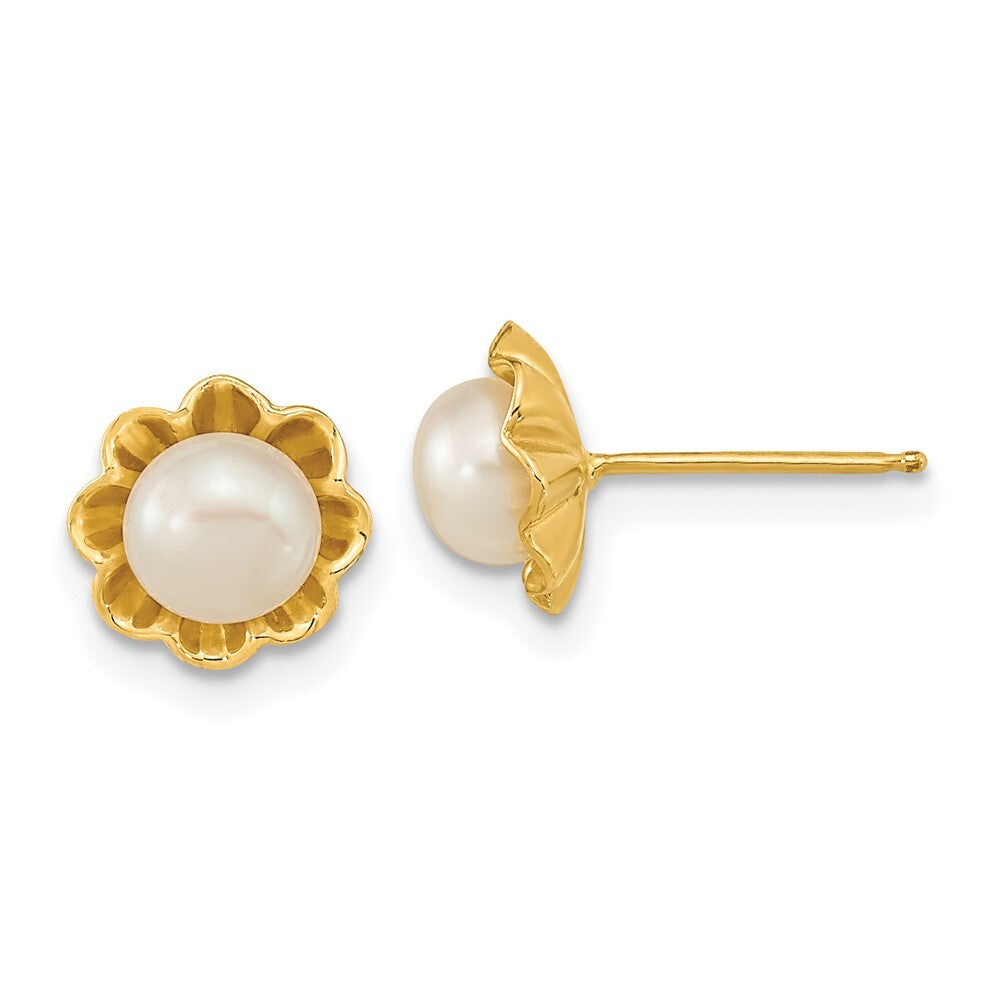 14k Yellow Gold 5-6mm White Button Freshwater Cultured Pearl Stud Earrings