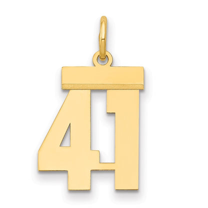 14k Yellow Gold Small Polished Number 41 Charm Pendant for Women