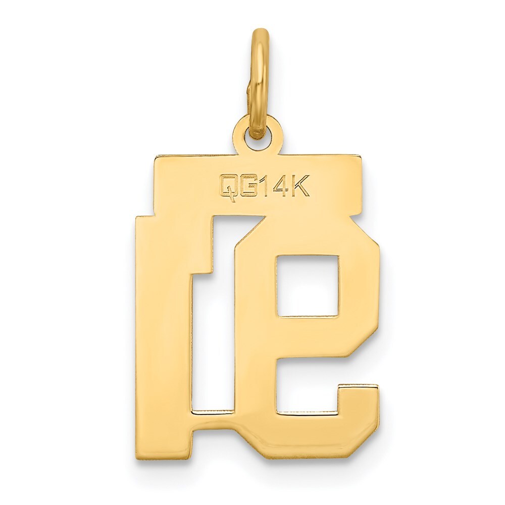 14k Yellow Gold Small Satin Number 91 Charm Pendant for Women