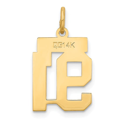 14k Yellow Gold Small Satin Number 91 Charm Pendant for Women