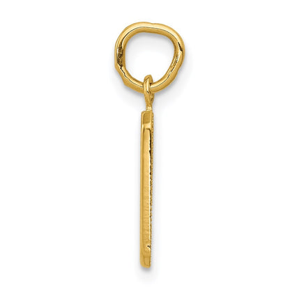 14k Yellow Gold Small Polished Number 9 Charm