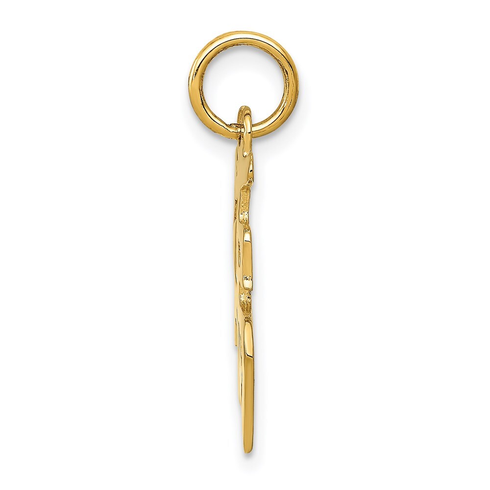 14k Yellow Gold Chinese Symbol Good Luck Charm Pendant for Women