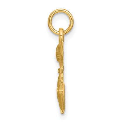 14k Yellow Gold Satin Tom Cat Charm Pendant for Women