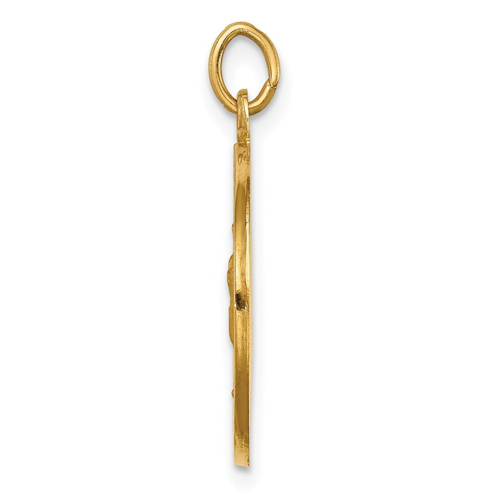 14k Yellow Gold Solid Polished/Satin Round Our Lady of Guadalupe Medal Pendant