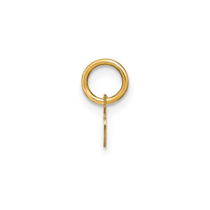 14k Yellow Gold Lower case Letter R Initial Charm Pendant for Women