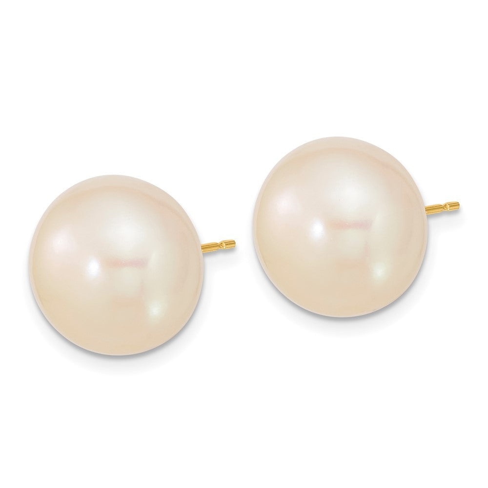 14k Yellow Gold 13-14mm White Button Freshwater Cultured Pearl Stud Earrings