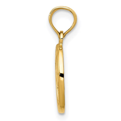 14k Yellow Gold Polished Small Fleur De Lis in Oval Pendant