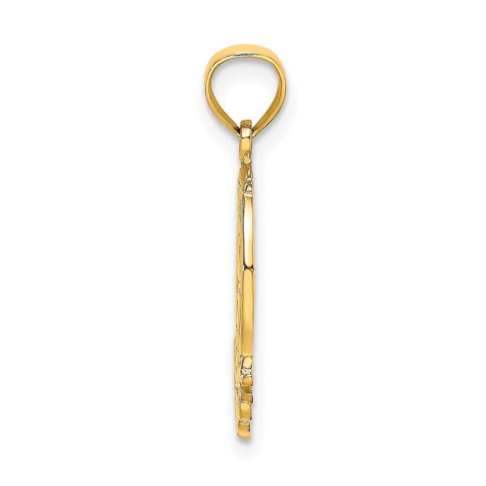 14k Yellow Gold GOOD LUCK Horseshoe and Clover Charm Pendant for Women