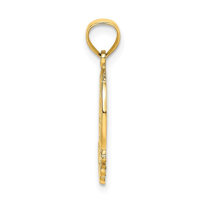 14k Yellow Gold GOOD LUCK Horseshoe and Clover Charm Pendant for Women