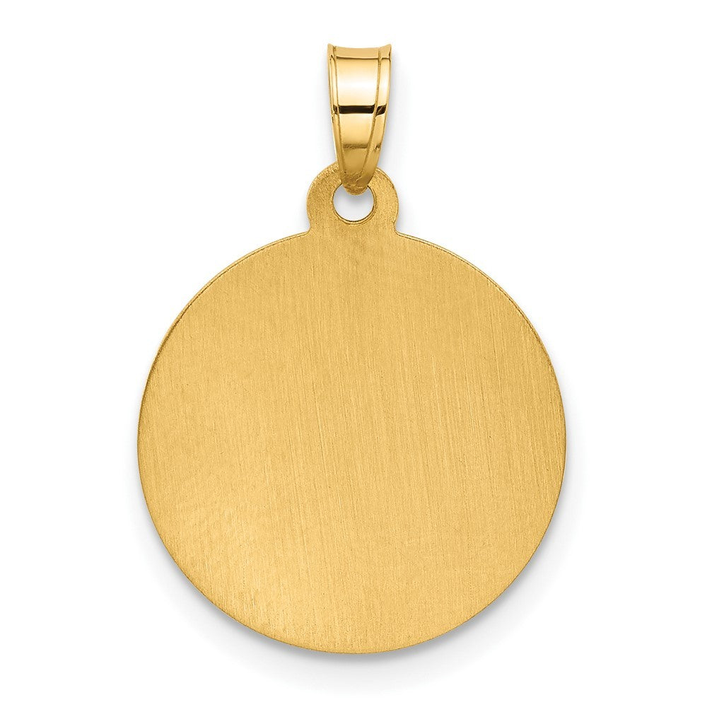 14k Yellow Gold and White Rhodium Hollow Miraculous Mary Plain Back Medal