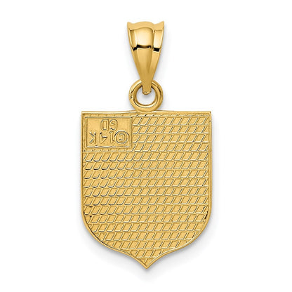14k Yellow Gold USA Flag Enameled Pendant