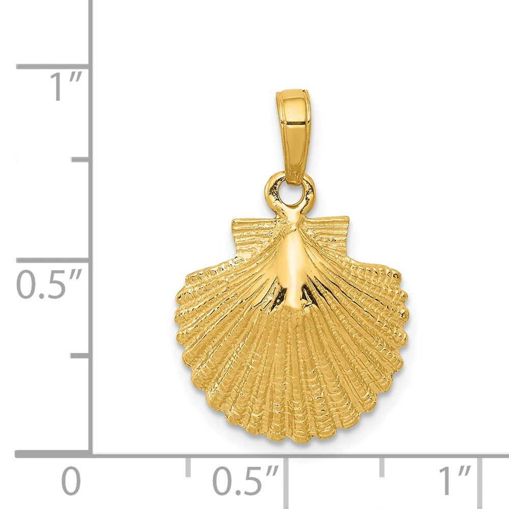 14k Yellow Gold Scallop Shell Pendant for Women