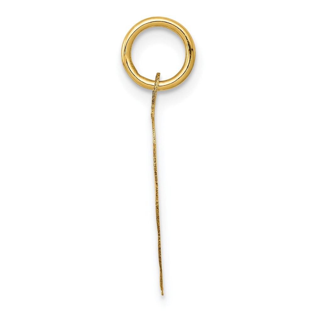 14k Yellow Gold SPECIAL AUNT Charm Pendant for Women