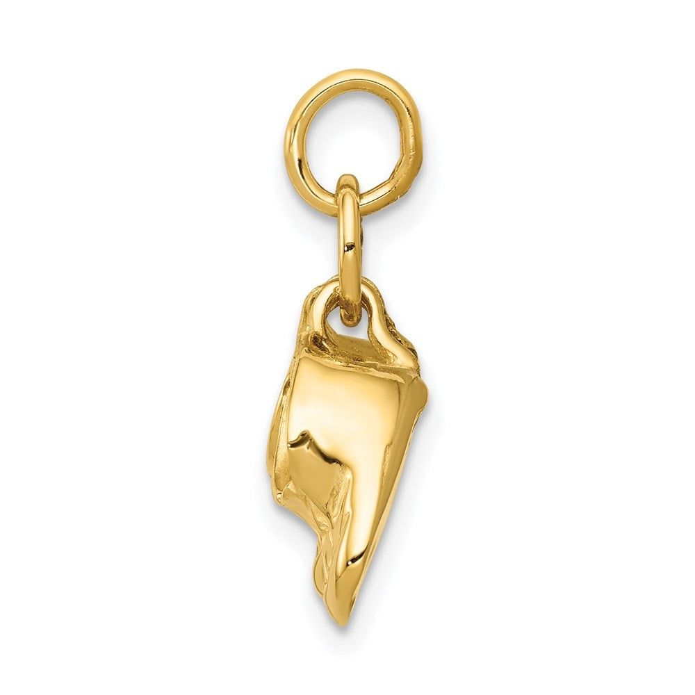14k Yellow Gold 3-D Moveable Polished Baby Shoes Charm