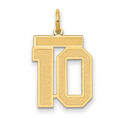 14k Yellow Gold Medium Satin Number 10 Charm Pendant for Women