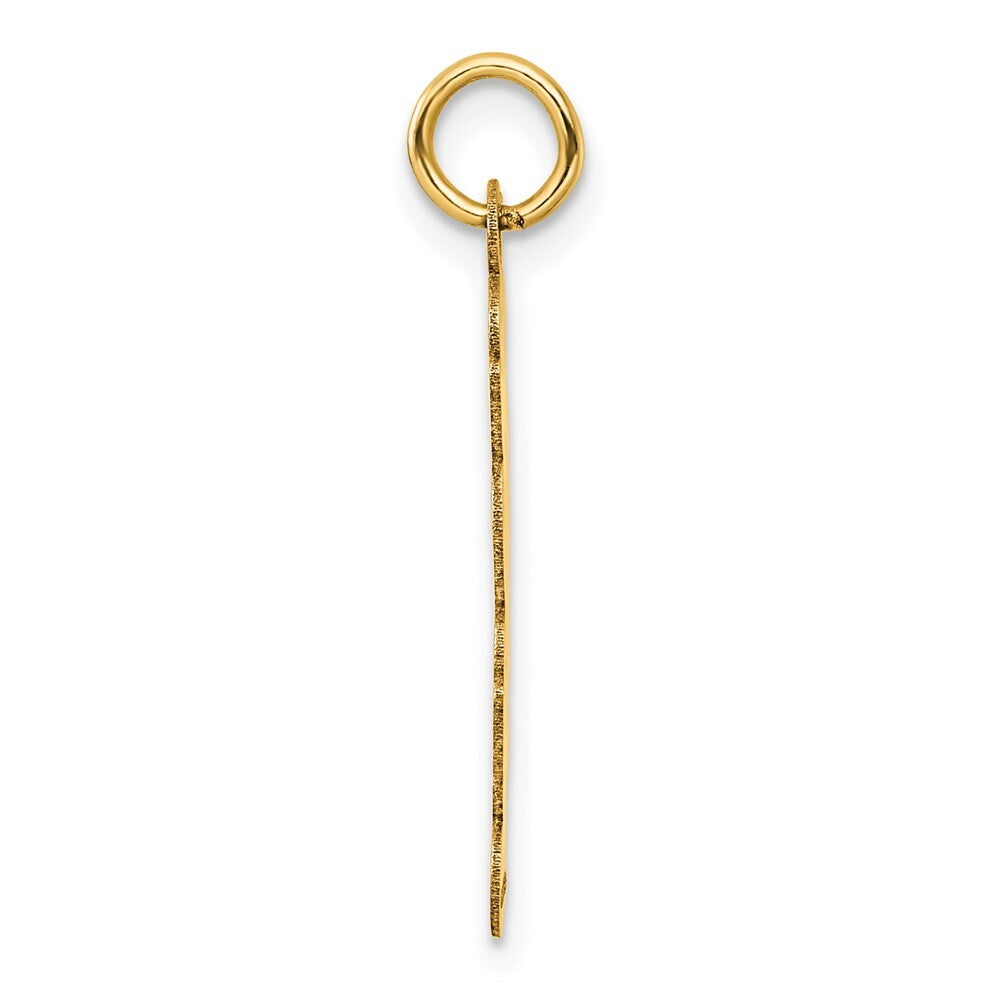 14k Yellow Gold Polished and Satin Vertical 2025 Charm