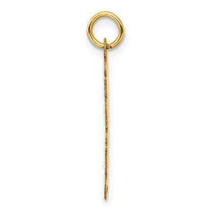 14k Yellow Gold Polished and Satin Vertical 2025 Charm