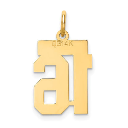 14k Yellow Gold Small Satin Number 16 Charm Pendant for Women